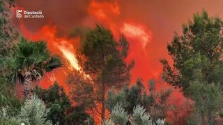 Nejméně 12 lidí zahynulo v lesním požáru ve španělské Andalusii